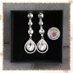 aretes delphine silver